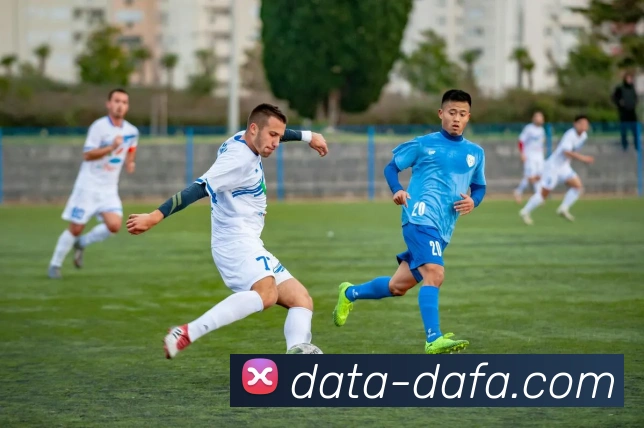 大发彩票平台生态图